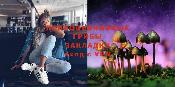 PSILOCYBIN Алексеевка