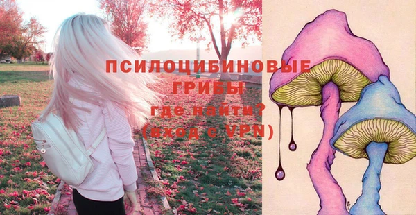 PSILOCYBIN Алексеевка