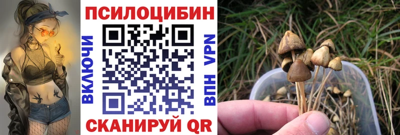 купить наркоту  Кондопога  omg маркетплейс  Псилоцибиновые грибы прущие грибы 